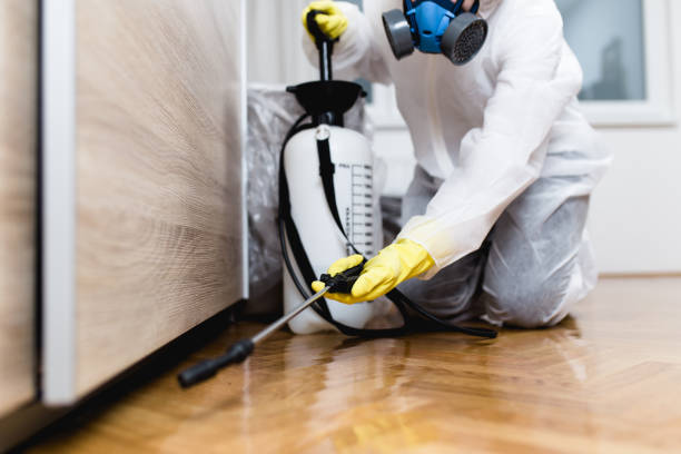  Brighton, IL Pest Control Pros