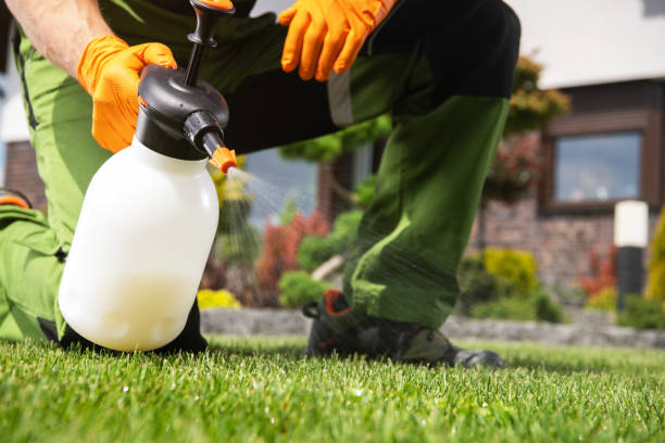 Best Pest Control Cost  in Brighton, IL