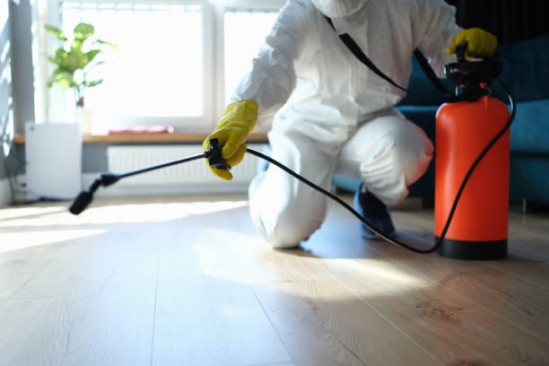Pest Control Cost in Brighton, IL
