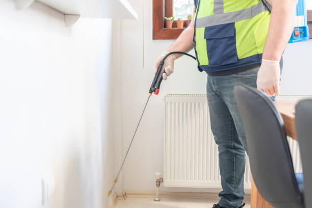 Best Affordable Pest Control Services  in Brighton, IL