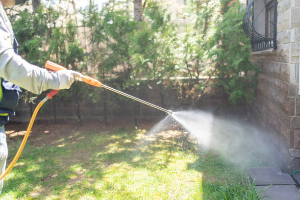 Best Pest Inspection Near Me  in Brighton, IL