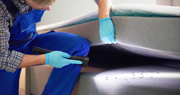 Best Emergency Pest Control  in Brighton, IL