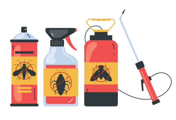 Best Spider Control Near Me  in Brighton, IL