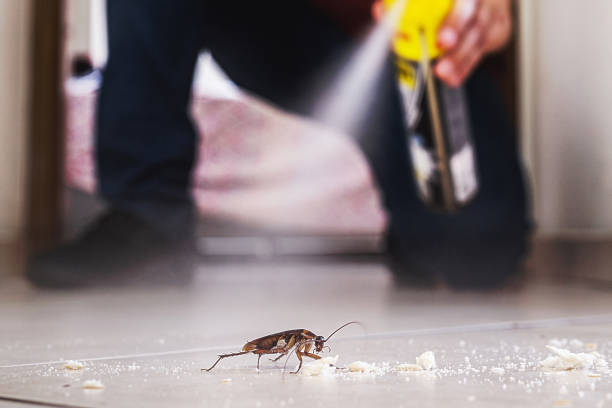 Best Commercial Pest Control Services  in Brighton, IL
