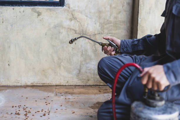 Best Pest Prevention Services  in Brighton, IL